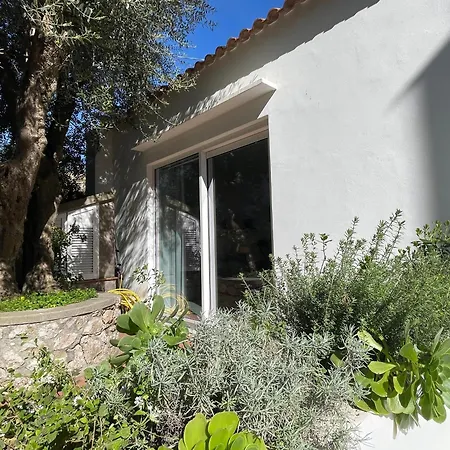 Olive Βίλα Κάπρι