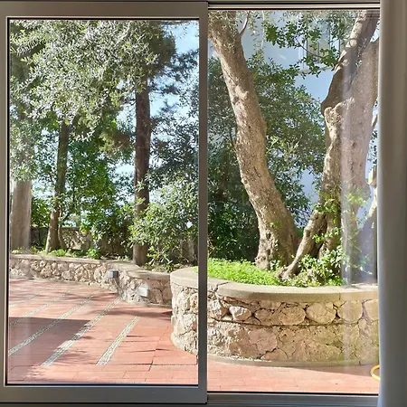 Olive Βίλα Κάπρι