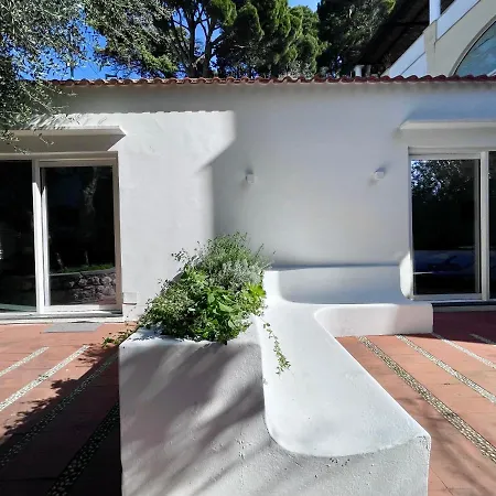 Olive Βίλα Κάπρι