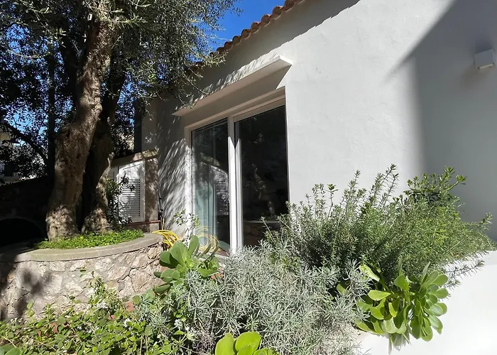 Olive Βίλα Κάπρι